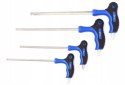 KLUCZE WKRĘTAKI HEX IMBUS TYP-T H2-H10 11SZT FALON TECH