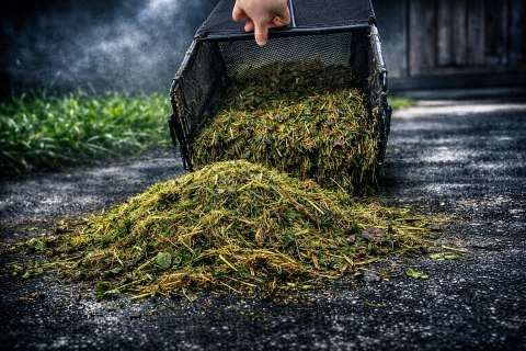 N AERATOR WERTYKULATOR ELEKTRYCZNY 3w1 2800W Z KOSZEM AERACJA WERTYKULACJA