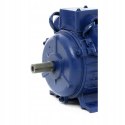Silnik elektryczny Kraft&Dele KD1801 1,5 kW